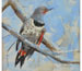 "Northern Flicker" by Randena Walsh